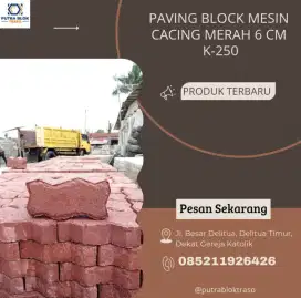 Paving Block Mesin Cacing Merah 6 cm K-250