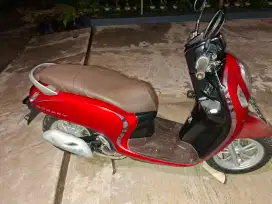 Honda scoop 2021