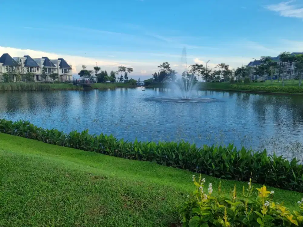 Dicari sopir pribadi pengalaman min 5thn