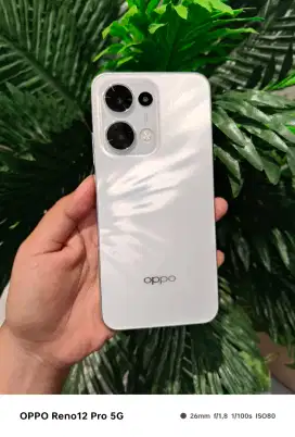OPPO RENO 13 5G 12/256, NEW GARANSI RESMI