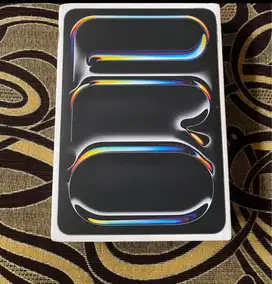 iPad Max pro M4 256Gb