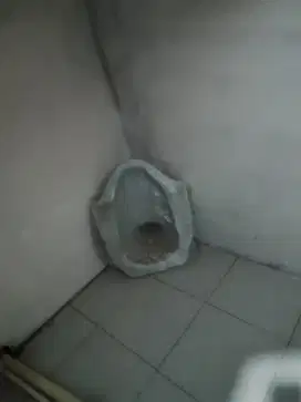 Closet Jongkok Bagus