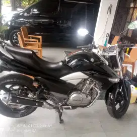 Suzuki Inazuma 2014