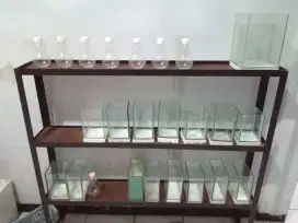 Rak Cupang/ Rak Tanaman