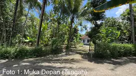 Tanah Pekarangan 553 m² di Dekat Bandara Kulon Progo | Yogyakarta