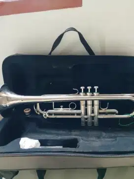 Yang minat trumpet alessandro italy