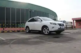[TDP10JT] Lexus RX270 HK version hongkong 2014 NIK 2013 white on brown