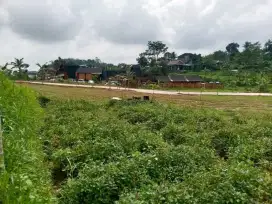 Tanah kavling kemuning