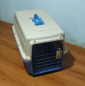 pet cargo kucing
