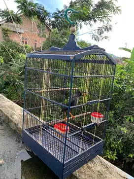 Jual burung dan kandang