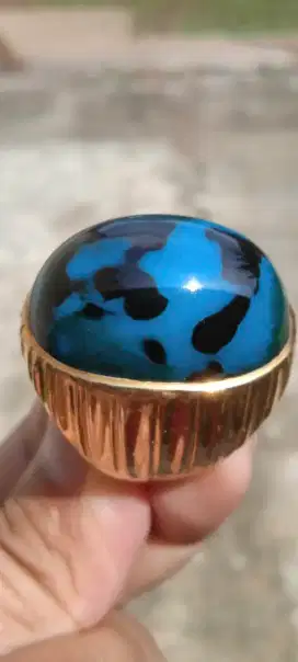 Bacan Majiko Lawas Totol Sapi