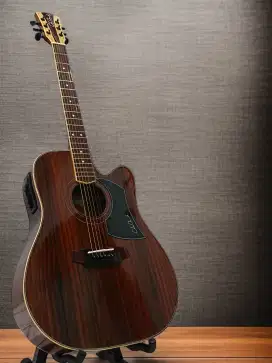 Gitar akustik elektrik cole clark