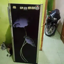 Jual kulkas beleza