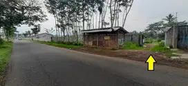 Tanah SHM Pakisjajar Pakis Malang Jual Cpt B.U Poll 100 m dari Jl.
