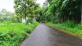 dijual tanah 5ha. lebar depan 30m. harga 400ribu/meter