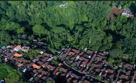 TANAH LOS SUNGAI VIEW JUGLE DI PEJENG UBUD BAG-098