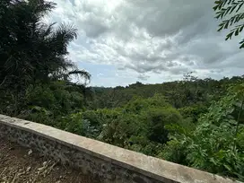 Land for Sale in Premium Location Sayan Ubud, Bali