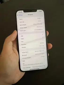 Iphone 12 Pro Max 256 Terdaftar Beacukai