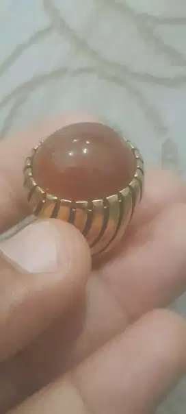 Pandan sisik betik warna