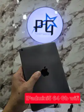 IPad mini 5 64 gb wifi