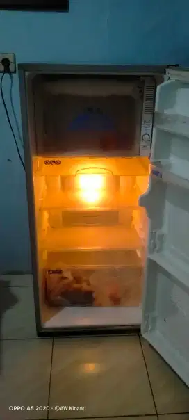 Kulkas Sharp 1 pintu