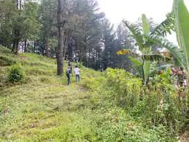 Dijual tanah di babakan madang karang tengah posisi di atas best view