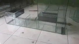 #ikanhias#firal#filteraquarium#ikanhias
