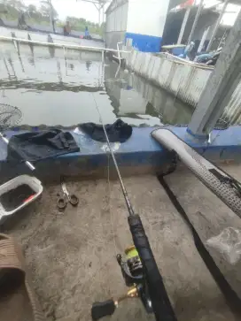 Daiwa magoii G-Mx 562 MHS
