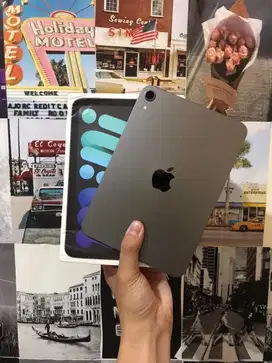 ipad mini (6th generation) 64 gb WIFI