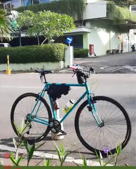 Jual Sepeda Surly Kondisi Bagus