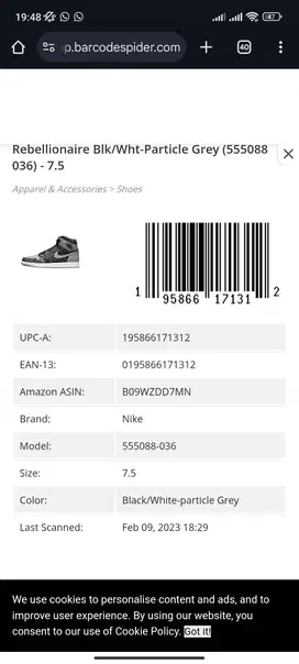 Nike Air Jordan High OG Rebelion