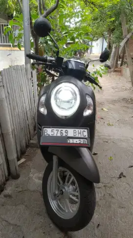 Motor Scoopy 2023