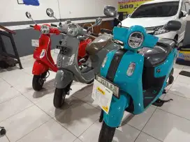 Fazio neo 2024 exlusive