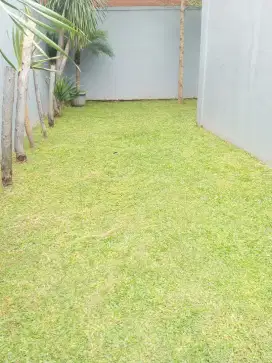 Potong rumput jakarta selatan