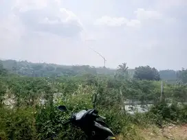 Tanah kebun lt 320 tmbak, cigargadung pamulihan smd