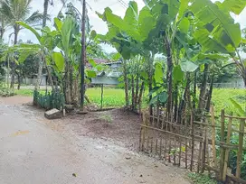 jual tanah pinggir jalan kampung aspal belakang Polda Banten