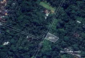 9.55 ARE LAND FOR SALE IN UBUD BALI - RF3963