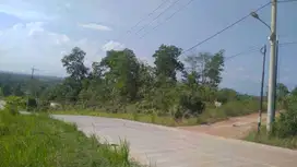 LAHAN LUAS 1,9Ha KILO 8