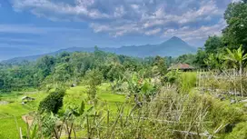 Tanah Ada Air Mengalir Pinggir Jalan di Bojong Purwakarta Kebun Cabe