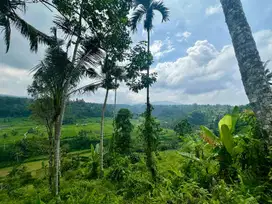 Stunning 60 Are Cliffside Land in Sidemen, Bali