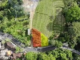 Dijual Tanah full view sawah super langka  Di jln utama Munggu