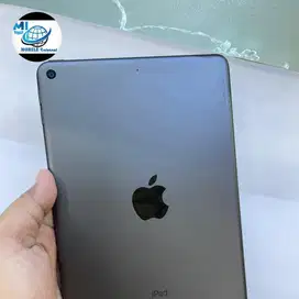 ipad mini 5 gen 256gb wifi original bekas second
