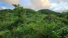 DIJUAL TANAH LUAS DAN MURAH LOKASI STRATEGIS DI NUSA PENIDA BALI