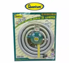 Regulator Gas Quantum Ori