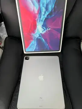 Ipad Pro 12.9 inch Gen 4 512 GB WIFI + CELL BEACUKAI
