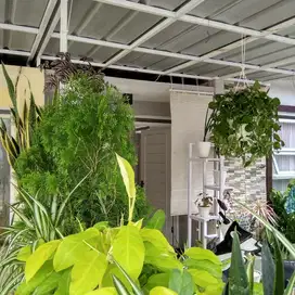 Jarang ada rumah antik murah bangeeeuut sayap kolmas