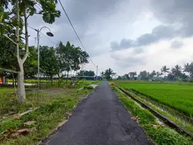 View Sawah; Tanah Murah Kaliurang Cocok VIlla