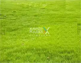 Tanah Citraland Sout Emerald Mansion Lokasi Strategis