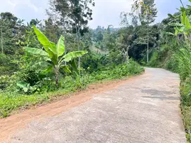 Tanah 300 Juta Kawasan Wisata Candi Sukuh Karanganyar