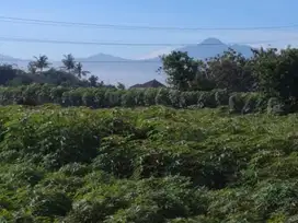 Jual tanah di tanah sereal bogor,SHM 3Km stasiun cilebut